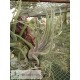Tillandsia Sitting Pretty