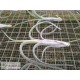 Tillandsia intermedia