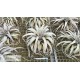 Tillandsia xerographica XXL