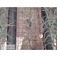 Tillandsia jequiensis