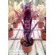 Billbergia Darth Vader